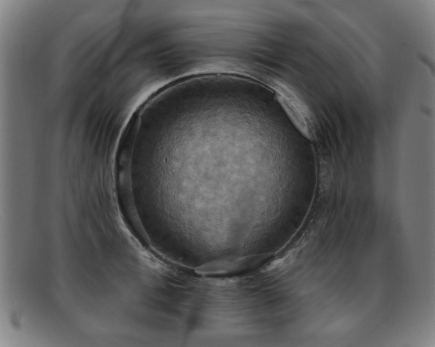 X0000092110996200709121615