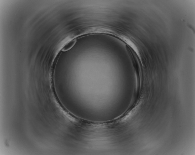 X0000092110997200709121615