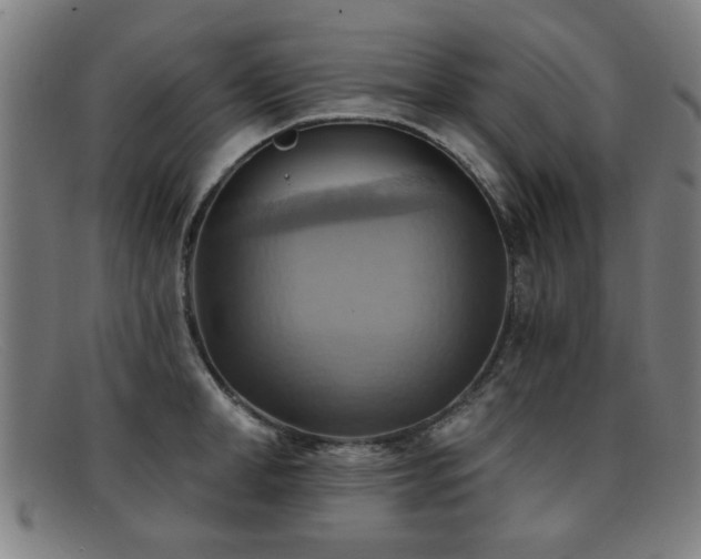 X0000092110998200709121615