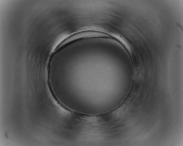 X0000092110999200709121615