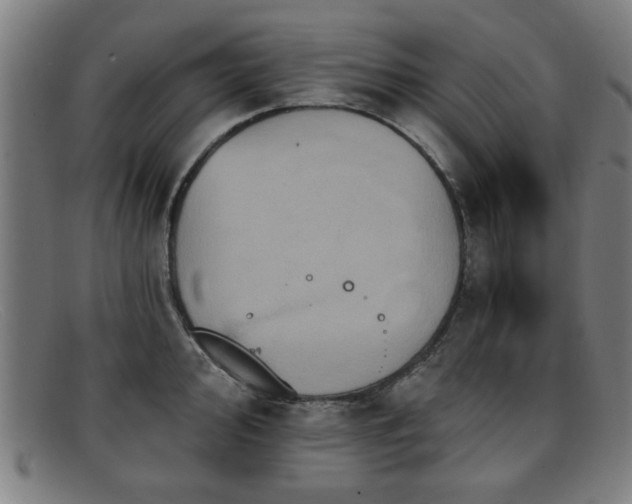 X0000092111000200709121615