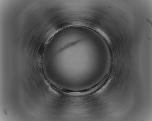 X0000092111001200709121615