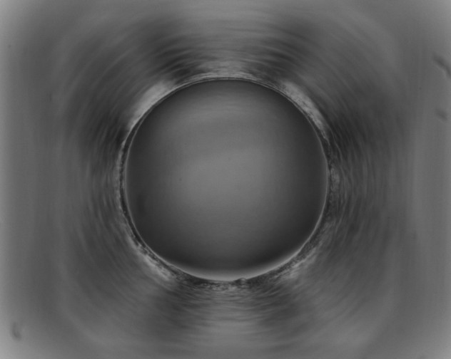 X0000092111002200709121615