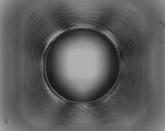 X0000092111003200709121615