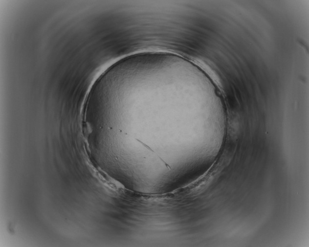 X0000092111004200709121615