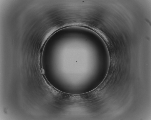 X0000092111006200709121614