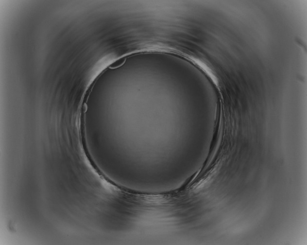 X0000092111007200709121614