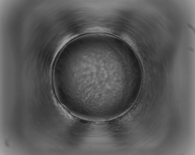 X0000092111008200709121614