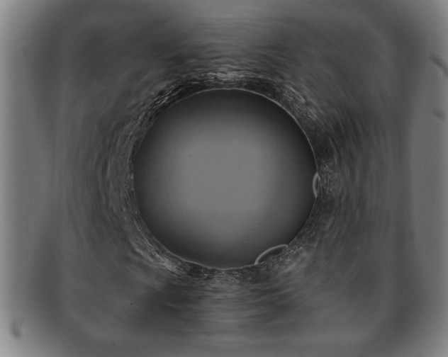 X0000092111009200709121614