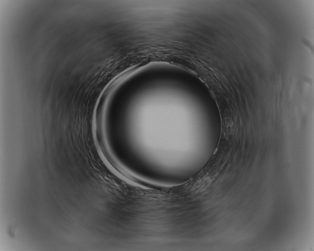 X0000092111010200709121614