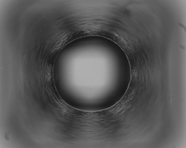 X0000092111012200709121614