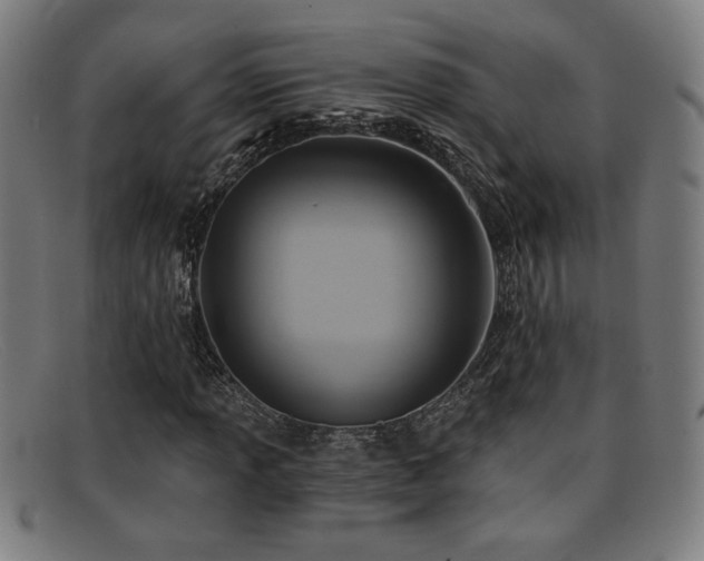 X0000092111013200709121614