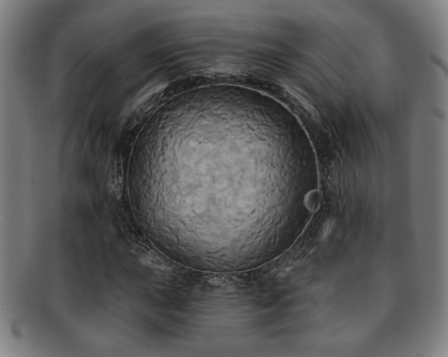 X0000092111015200709121614