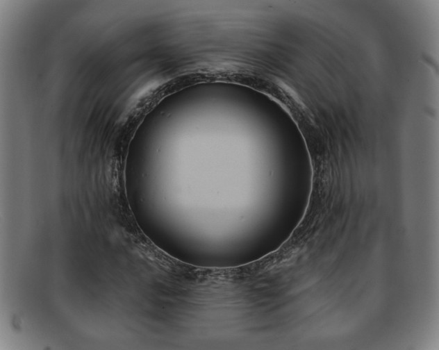 X0000092111016200709121614