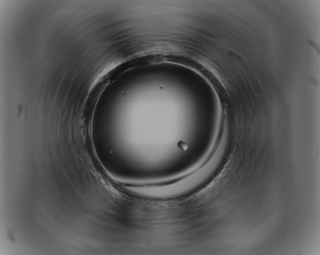 X0000092111018200709121614