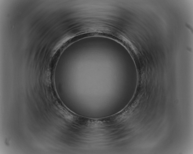 X0000092111019200709121614