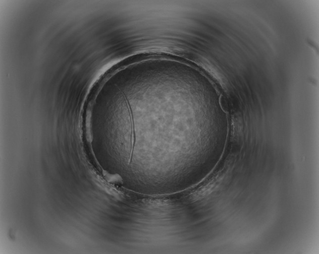 X0000092111020200709121614