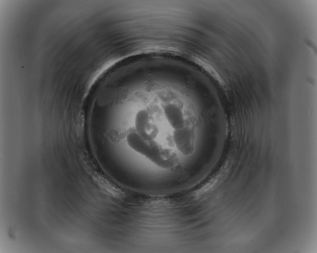 X0000092111021200709121614