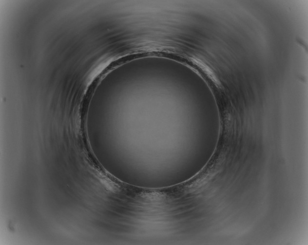 X0000092111023200709121614