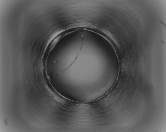 X0000092111024200709121614