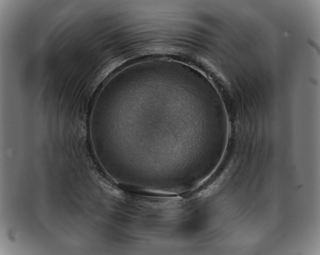 X0000092111025200709121614