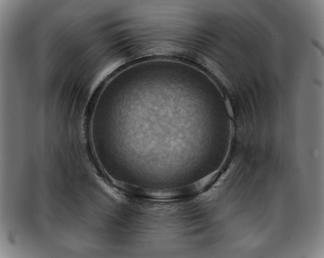 X0000092111026200709121614