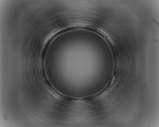 X0000092111027200709121614