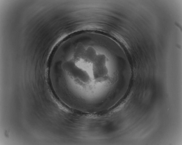 X0000092111029200709121614