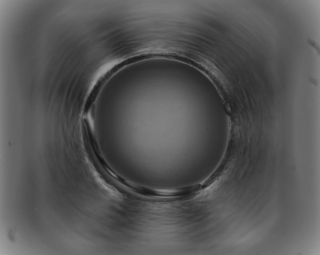 X0000092111030200709121614