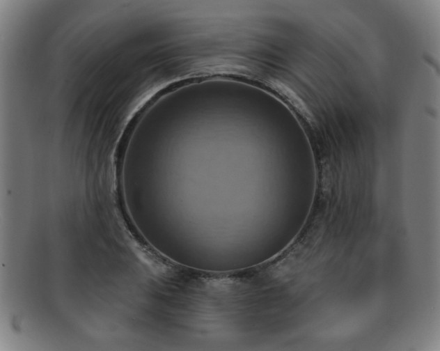 X0000092111031200709121614