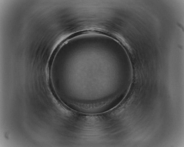 X0000092111032200709121614