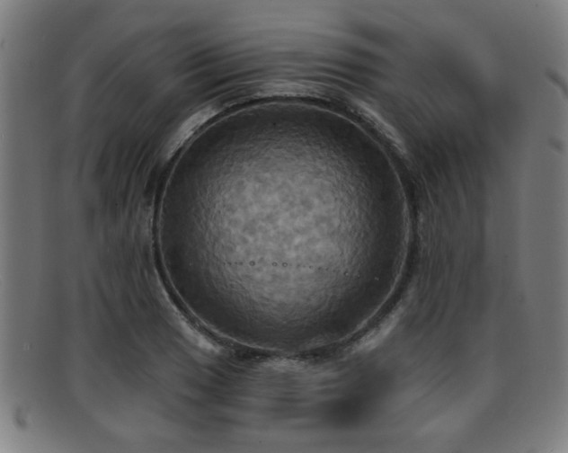 X0000092111033200709121614