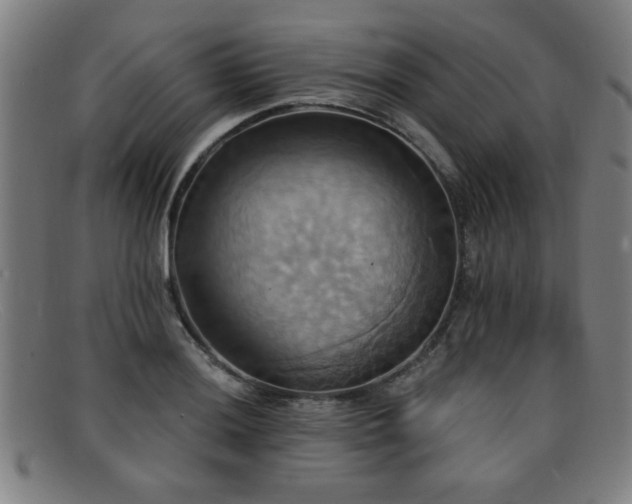 X0000092111036200709121614