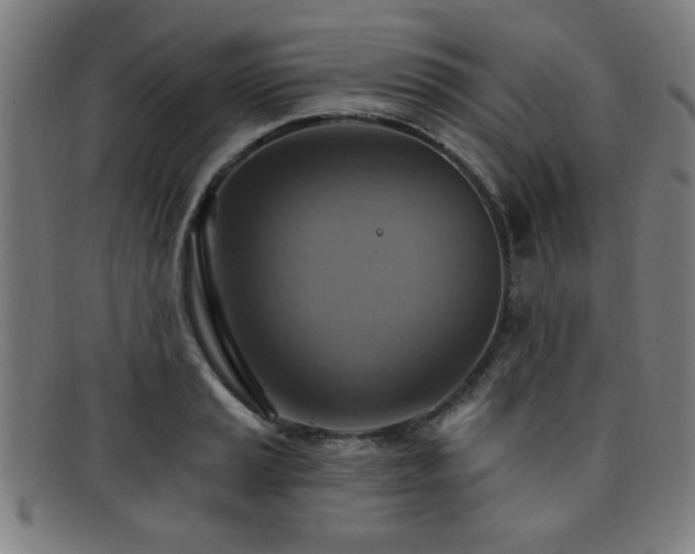 X0000092111037200709121614