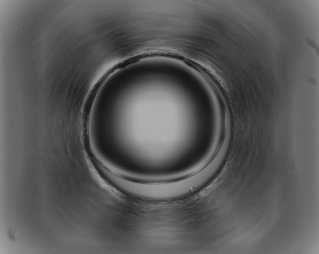 X0000092111038200709121614