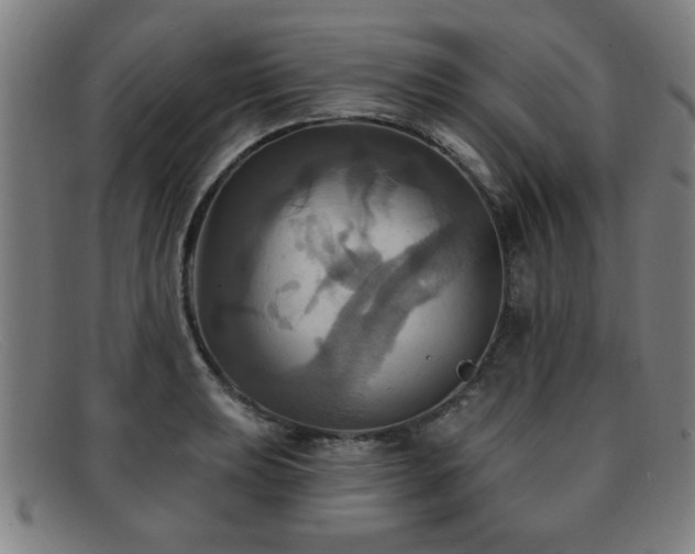 X0000092111039200709121614