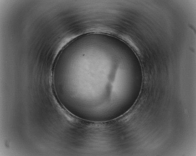 X0000092111040200709121614