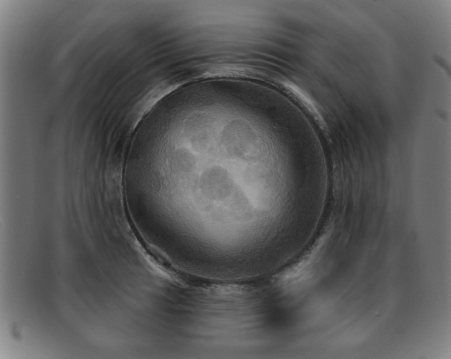 X0000092111041200709121614