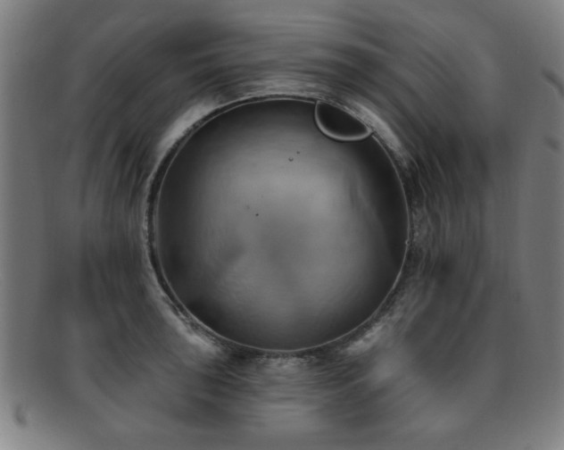 X0000092111043200709121614