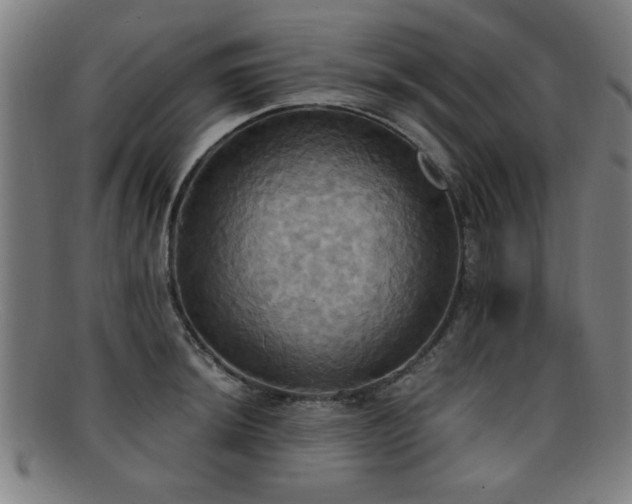 X0000092111044200709121614