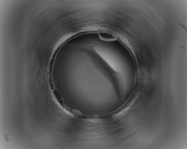 X0000092111045200709121614