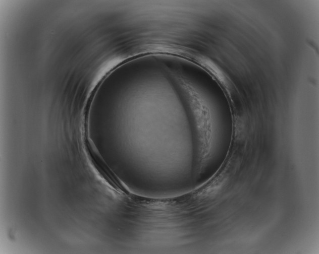 X0000092111048200709121614