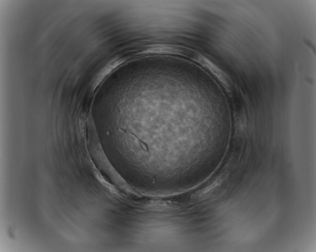 X0000092111049200709121614