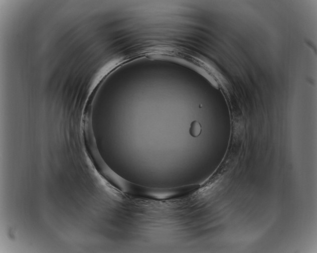 X0000092111050200709121614