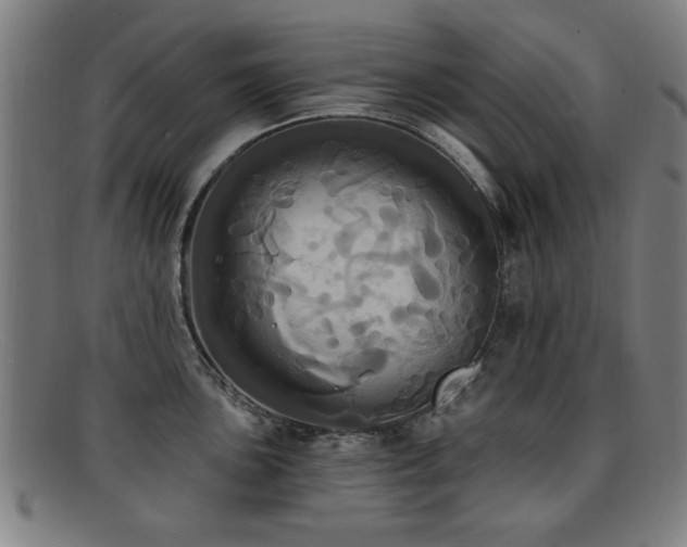 X0000092111051200709121614