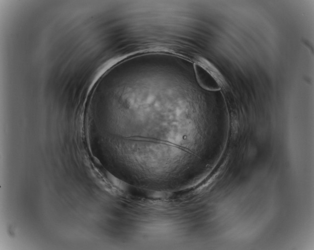 X0000092111052200709121614