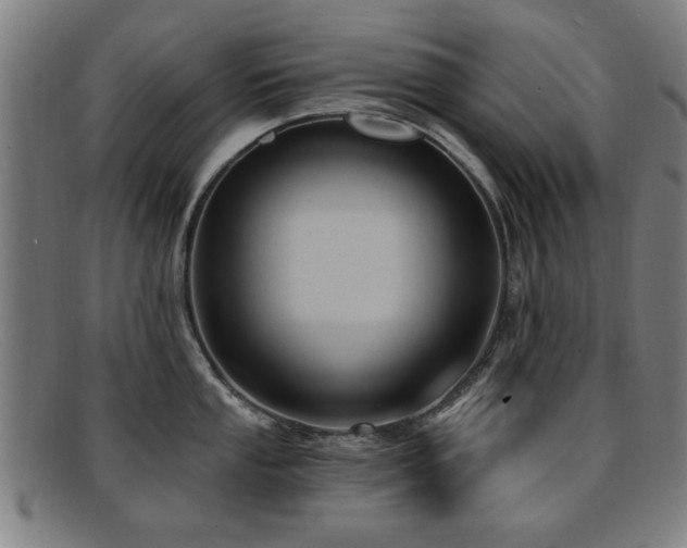 X0000092111053200709121614