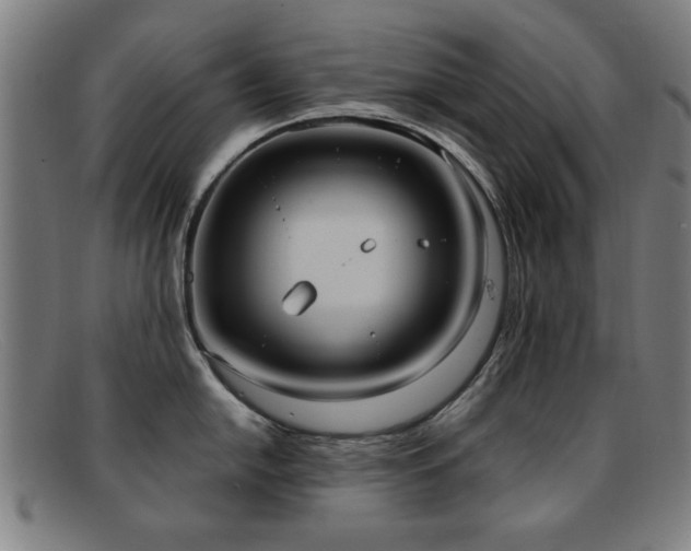 X0000092111054200709121614