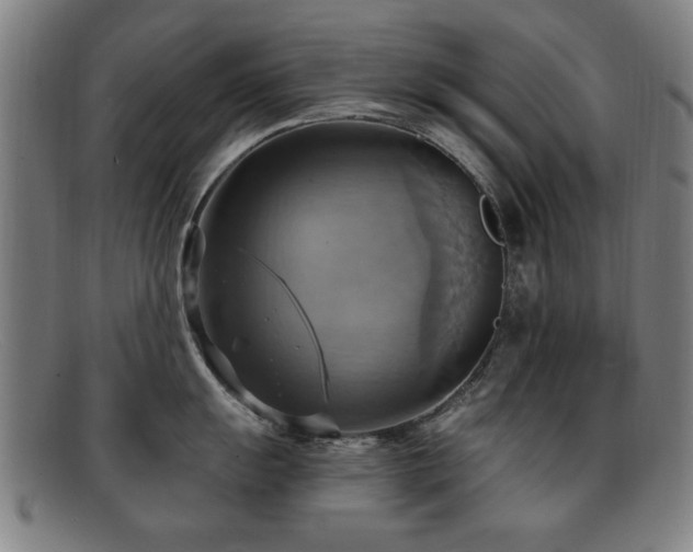 X0000092111055200709121614