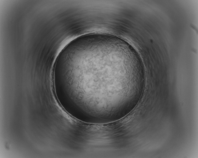 X0000092111056200709121614